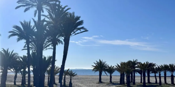 西班牙惊现“假医生” 无证注射精神类药物被捕