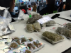 巴塞罗那大规模突击检查“种植用品店”，缴获大批大麻产品并立案调查8人